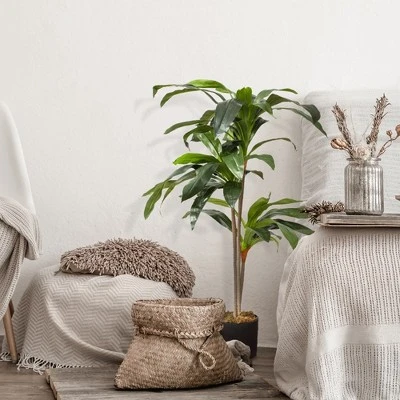 Forever Leaf 48" Artificial Dracaena Plant In Black Pot, Indoor Artificial Plant For Home Decor - Image 4