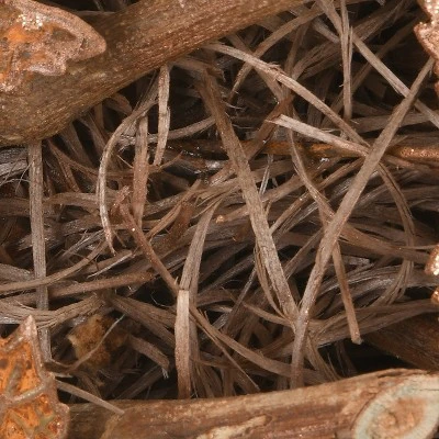 National Tree Company18" Harvest Brown Maple Leaves Wreath - Image 3