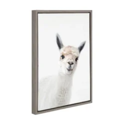 18" X 24" Sylvie Alpaca Canvas Wall Art By Amy Peterson Gray - Kate And Laurel