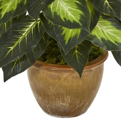 18" X 16" Artificial Dieffenbachia Plant In Ceramic Planter - Nearly Natural - Image 2