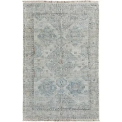 Caldwell Transitional Oriental Area Rug