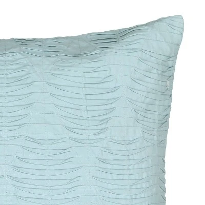 20"x20" Paisley Pizzazz Throw Pillow Blue - Waverly