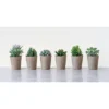 Set Of 6 6" X 4" Artificial Faux Succulent Plants In Paper Pots - Storied Home