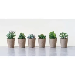 Set Of 6 6" X 4" Artificial Faux Succulent Plants In Paper Pots - Storied Home