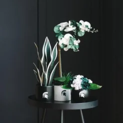 Forever Leaf Michigan State Artificial Snake, Orchid And Hydrangea Plants 3-Pack Bundle, Indoor Artificial Plant For Home Decor