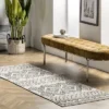 NuLOOM Olivia Transitional Moroccan Area Rug