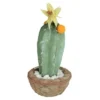 Northlight 12" Flowering Cactus Artificial Potted Plant - Green/Brown