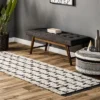 NuLOOM Hayes Soft Shaggy Textured Vine Fringe Area Rug