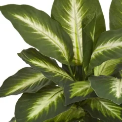 18" X 16" Artificial Dieffenbachia Plant In Ceramic Planter - Nearly Natural