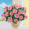 Collections Etc Cabbage Rose Bushes Set Of 3