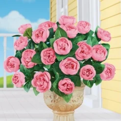Collections Etc Cabbage Rose Bushes Set Of 3