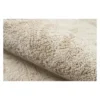 3'6"x5'6" Floral Tufted Accent Rug Beige - Momeni