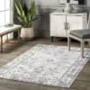 NuLOOM Ren Vintage Floral Machine Washable Area Rug